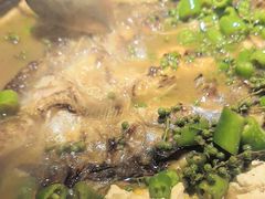 -探鱼·鲜青椒爽麻烤鱼(苏宁广场店)
