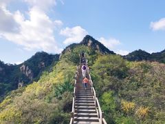 -大岭沟猕猴桃谷风景区