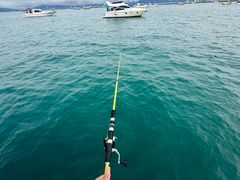 -小猫钓鱼海钓俱乐部(椰梦长廊店)