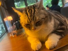 -咖法森林·咖啡  酒吧(天河店)