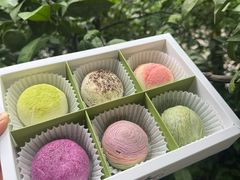 -好一朵茉莉花(老门东店)