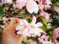 -星巴克臻选(盐城金鹰聚龙湖店)