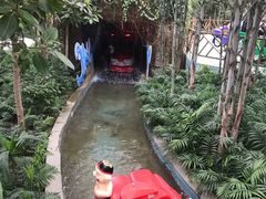 -南宫五洲植物乐园