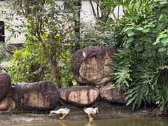 -广州神农草堂中医药博物馆