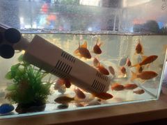 -JACK’S  PLACE 杰克地方(上海路店)