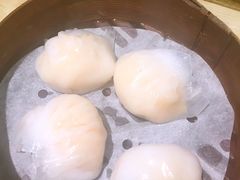 虾饺-添好运点心专门店(北角店)