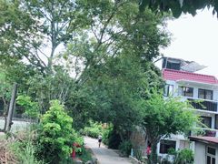 -南丫岛