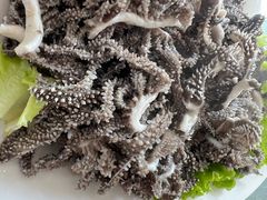 -庄河步云山羊汤(椒房店)