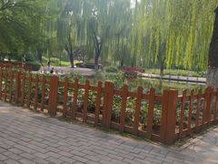 -玲珑塔公园