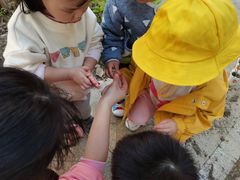 -蒙蒙狮蒙台梭利儿童之家