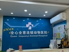 -全心全意连锁动物医院·微创中心·内科急重症·心脏专科(丰管路店)