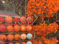 -后湖小院·乡野田园菜