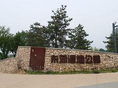 -东郊湿地公园