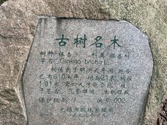 -无锡惠山寺