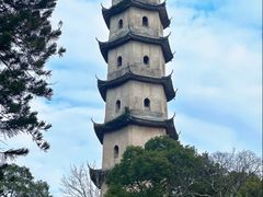 -江心屿景区