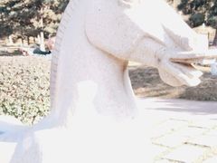 -鹦鹉寺公园
