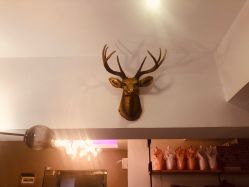 -MOKA SALON