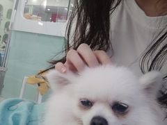 -怪兽屋·羊驼·猫咖·狗咖(俊华广场店)