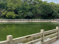 -广州市帽峰山景区