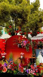 -明典婚礼策划·婚车租赁·婚纱摄影