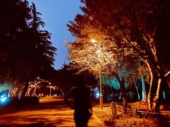 -白塘生态植物园