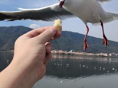 -昆明洲际酒店
