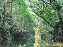 -上海滨江森林公园