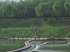 -洨河生态公园