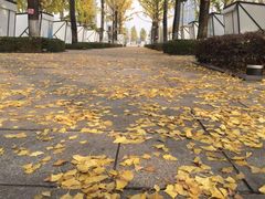 -百林公园-两江幸福广场
