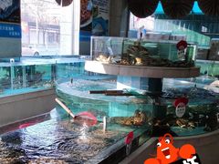 -香融府·烤鸭·家常菜(马家堡路店)