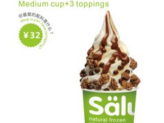中杯-Salud撒露欧洲冻酸奶(蓝色港湾店)
