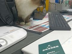 -派特宠物医院(圆融广场店)