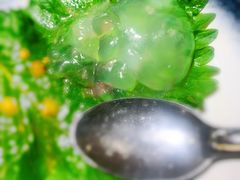 蓝鳍金枪鱼刺身-松子料理(白家庄店)