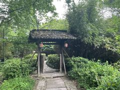 -西溪国家湿地公园