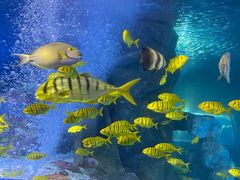 -太平洋海底世界