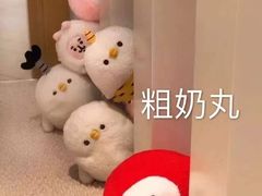 -重庆南山海昌汤都