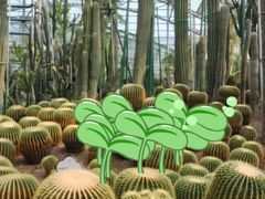 -南山植物园