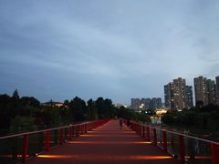 -青枫公园