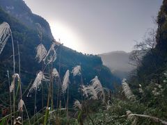 -华蓥山天意谷景区