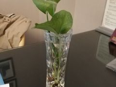 -上海安亭别墅花园酒店