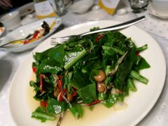 树子炒山苏-欣叶食艺轩