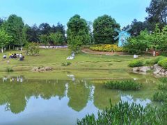 -重庆彩云湖湿地公园