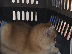 -联合动物医院(光谷诊疗中心)