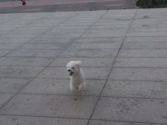 -国家动漫园