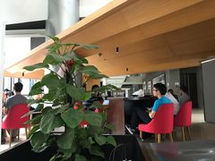 -麦隆咖啡(北大店)