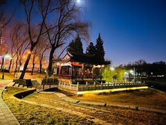 -元大都城垣遗址公园