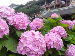 -成都市文化公园