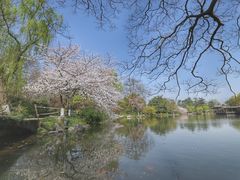 -苏堤停车场