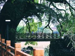 -云水谣景区