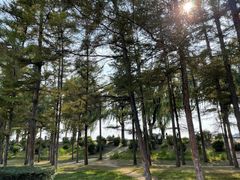 门面-长春市南湖公园